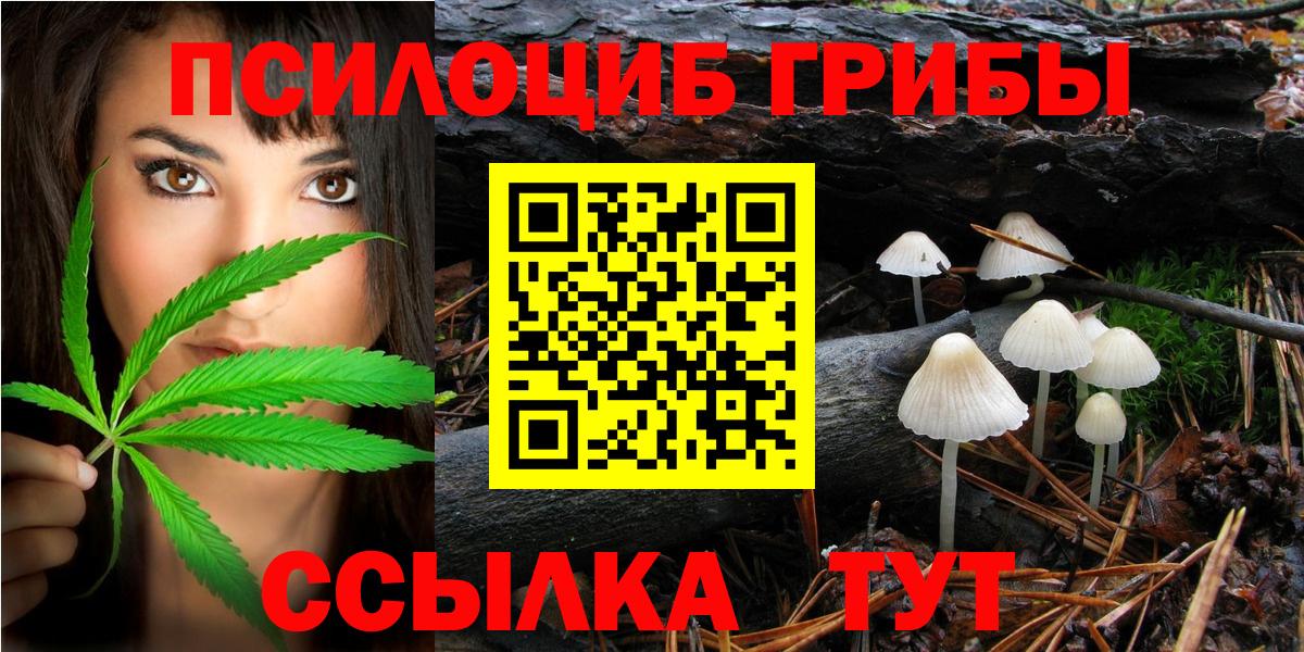 Псилоцибиновые грибы Cubensis Тихорецк