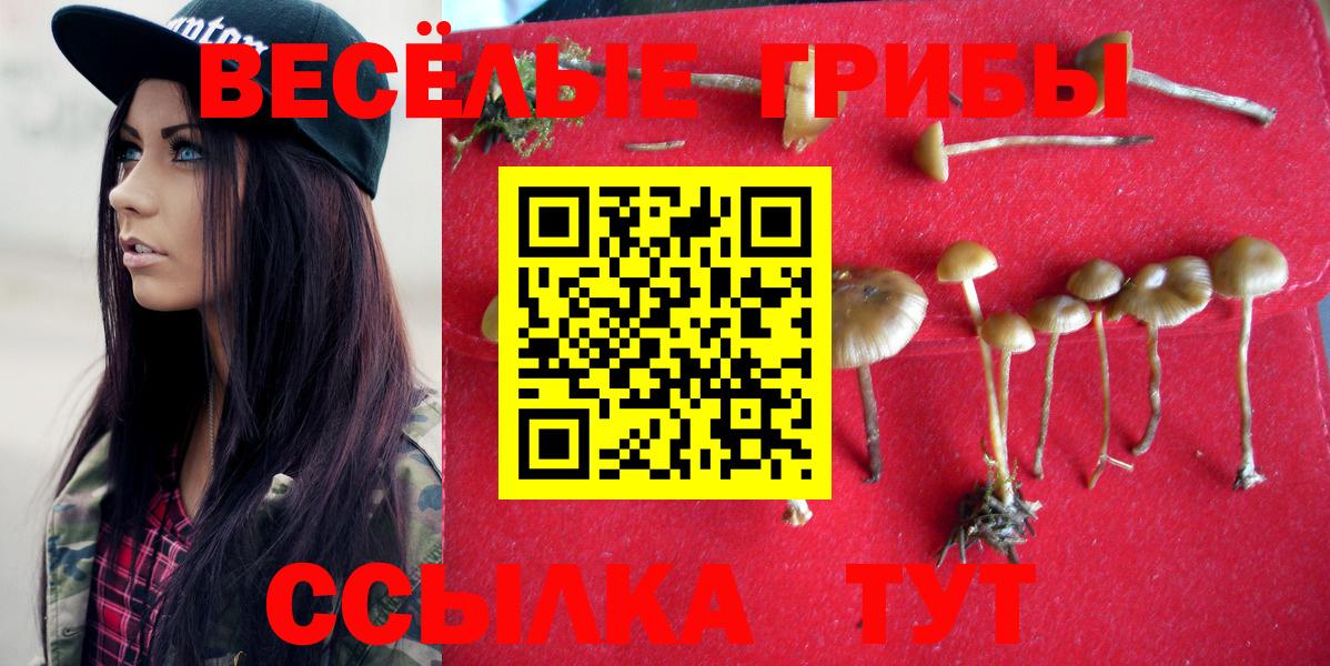 Галлюциногенные грибы Magic Shrooms  Вход с VPN  Псилоцибиновые грибы Magic Shrooms  Тихорецк 